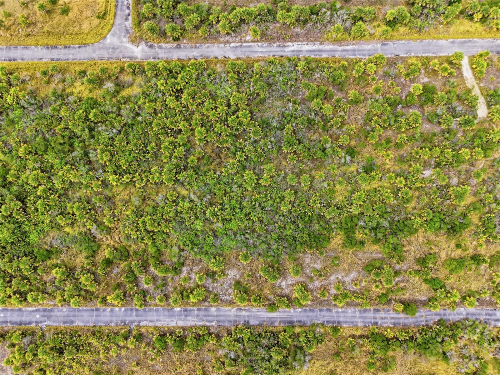 1553 ALCOVA ST SW, PALM BAY, FL, 32908