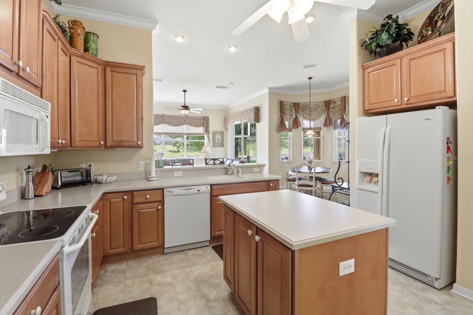 1239 W BEAGLE RUN LOOP, HERNANDO, FL, 34442