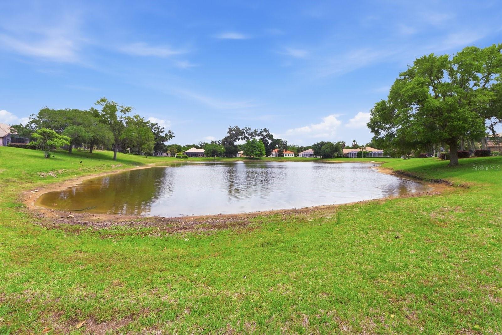 1239 W BEAGLE RUN LOOP, HERNANDO, FL, 34442