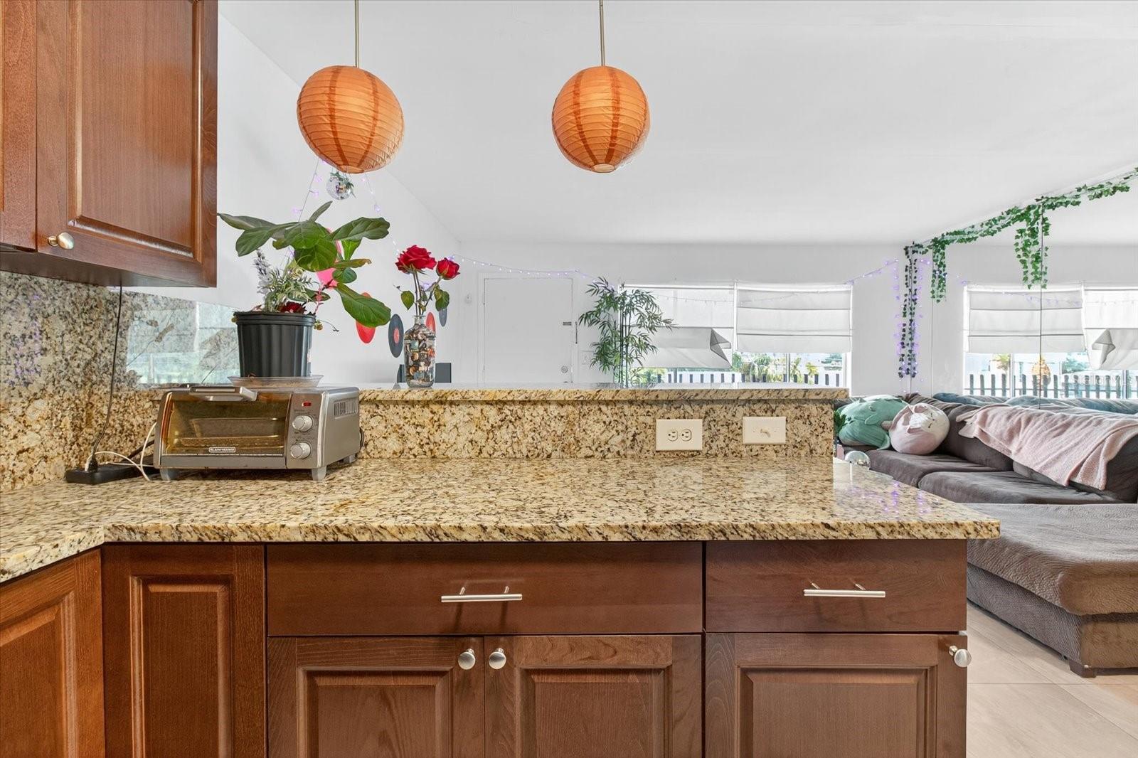 224 WAVERLY WAY #9, CLEARWATER, FL, 33756