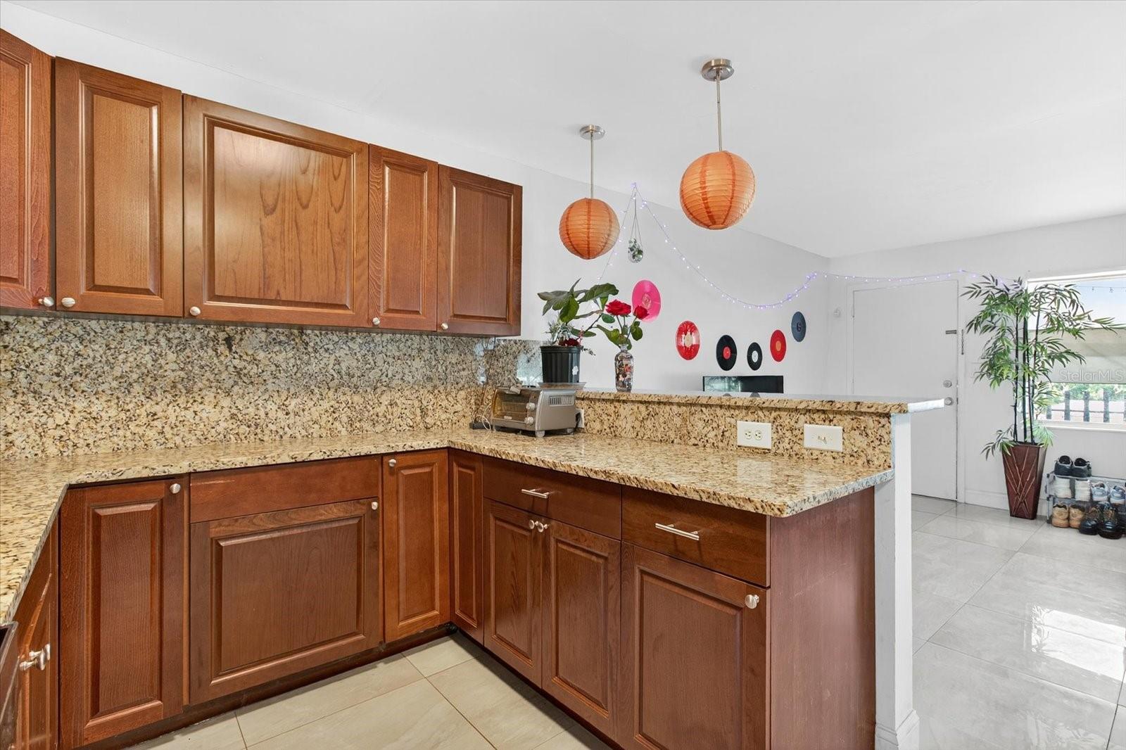 224 WAVERLY WAY #9, CLEARWATER, FL, 33756