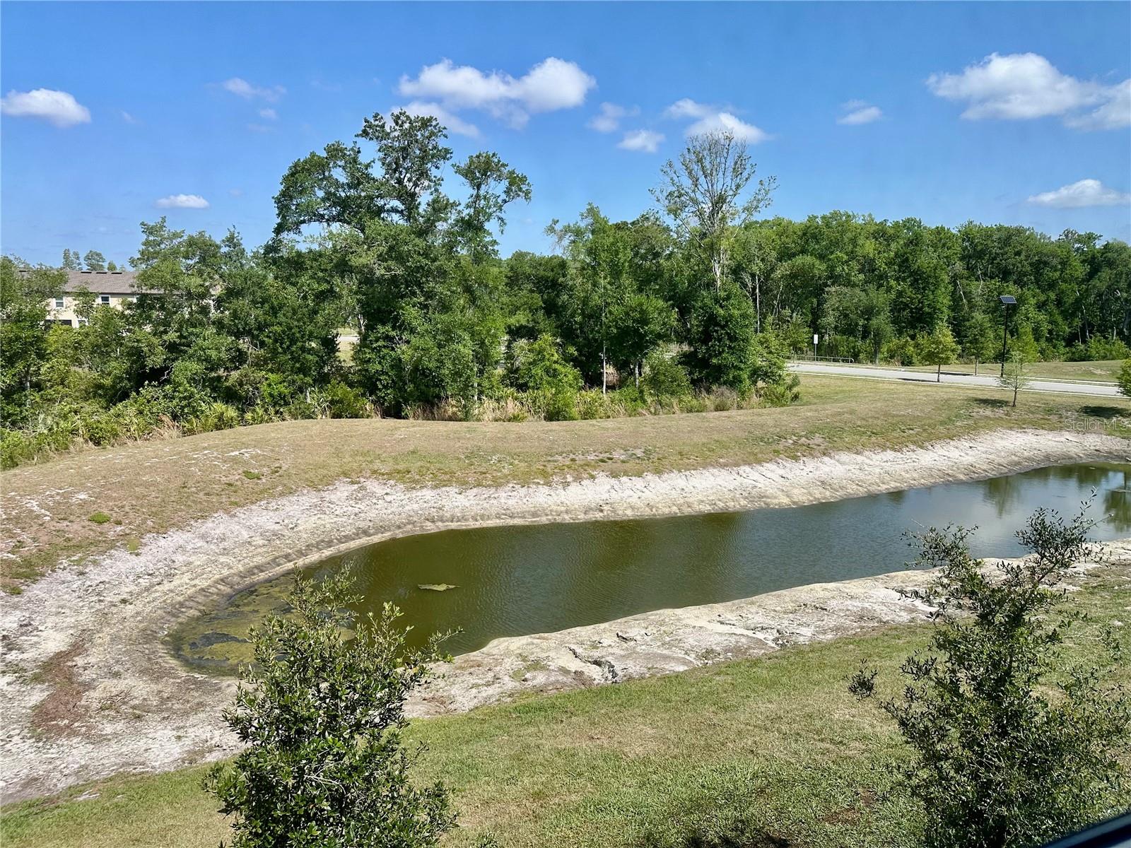 10981 WISHING CLOUD RD, LAND O LAKES, FL, 34638