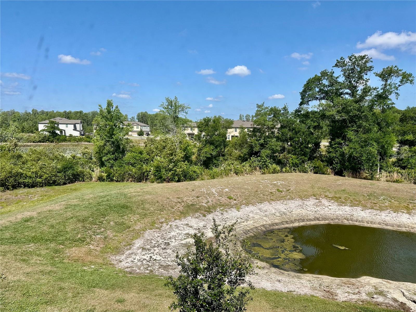 10981 WISHING CLOUD RD, LAND O LAKES, FL, 34638