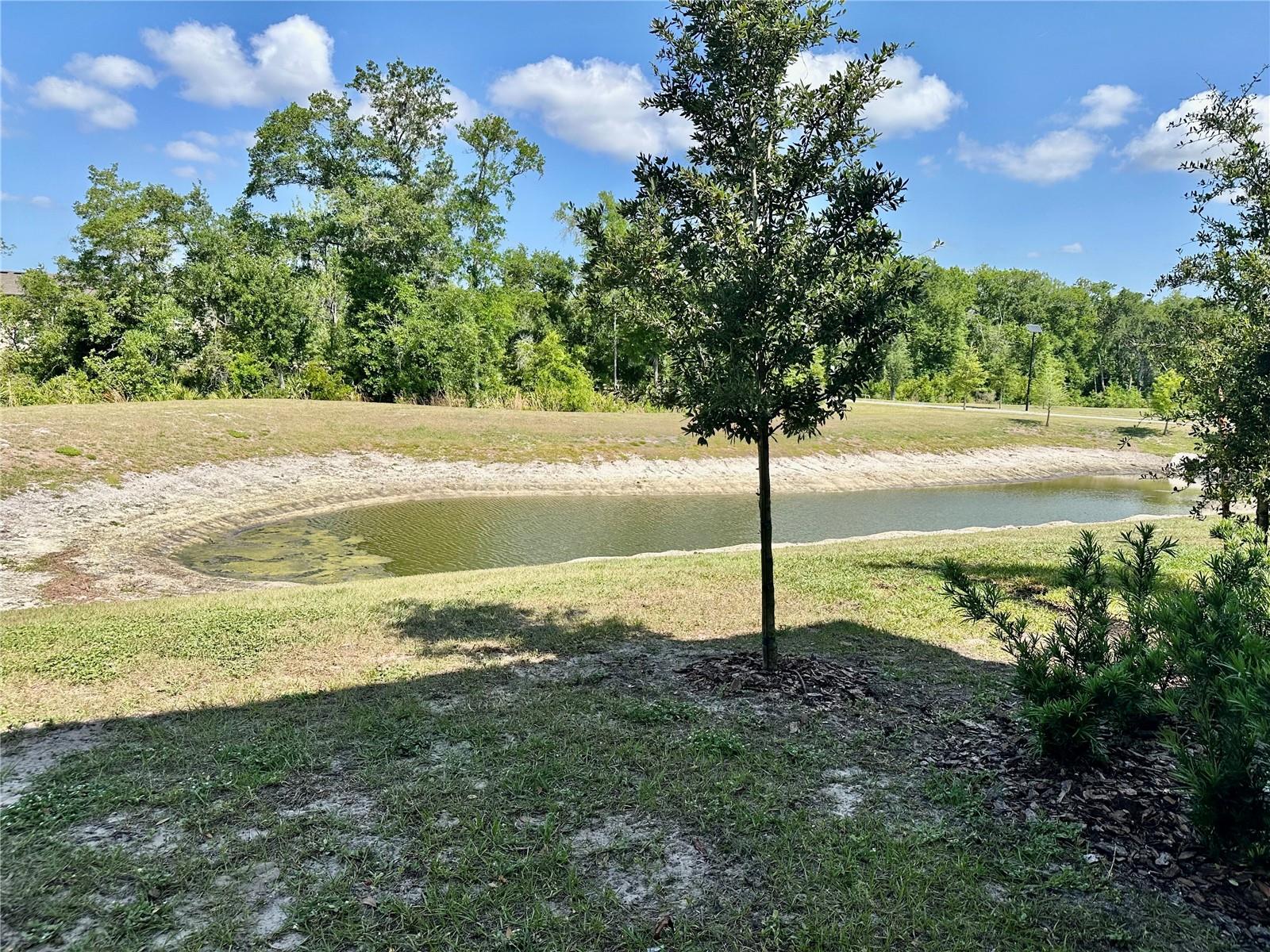 10981 WISHING CLOUD RD, LAND O LAKES, FL, 34638