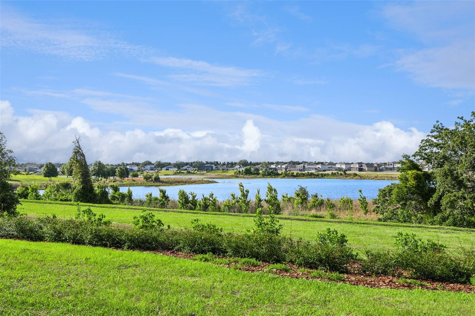16161 BARKLY RIDGE CT, WINTER GARDEN, FL, 34787
