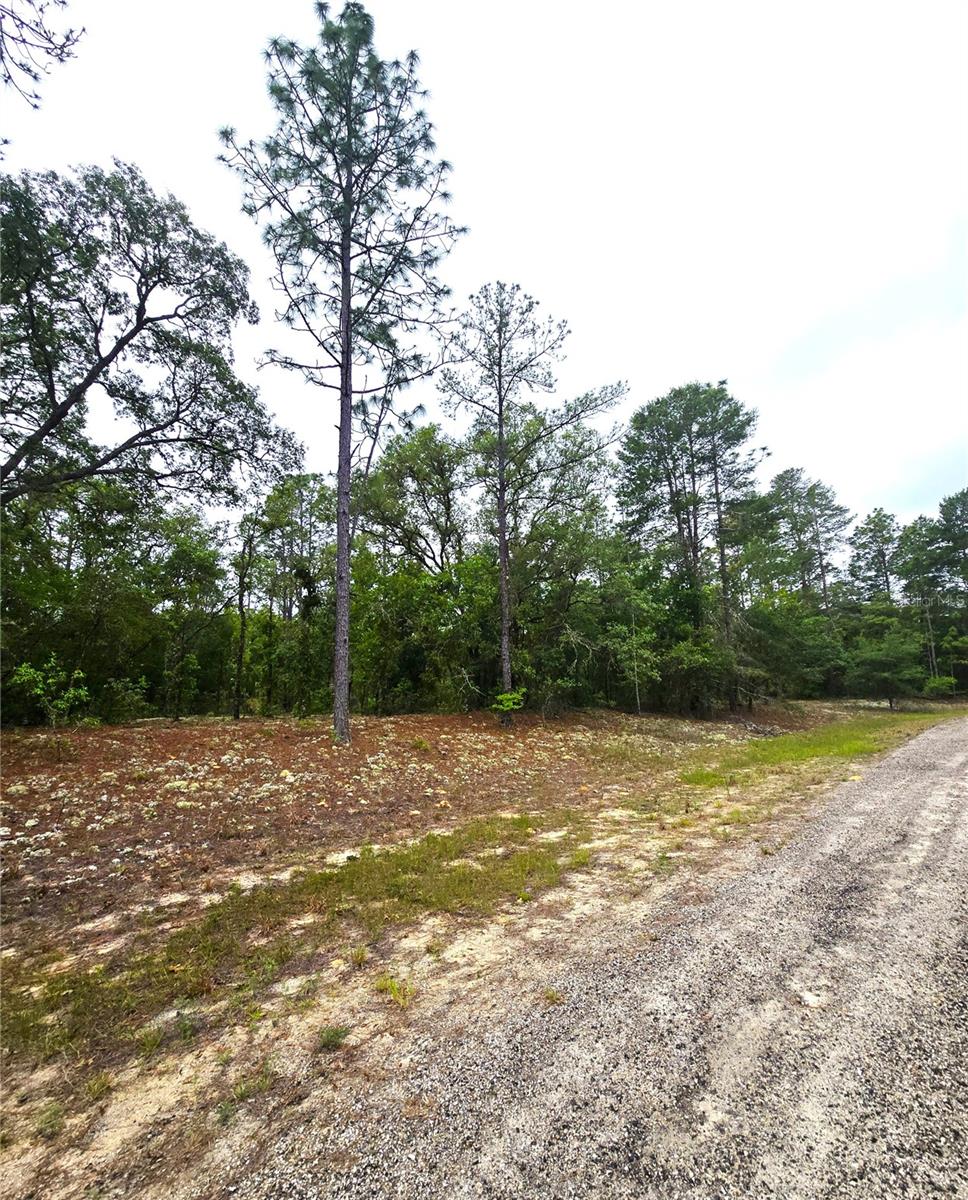 576 E NEMO DR, DUNNELLON, FL, 34434