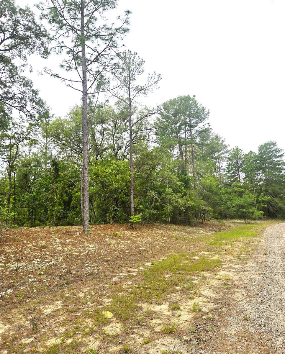 576 E NEMO DR, DUNNELLON, FL, 34434