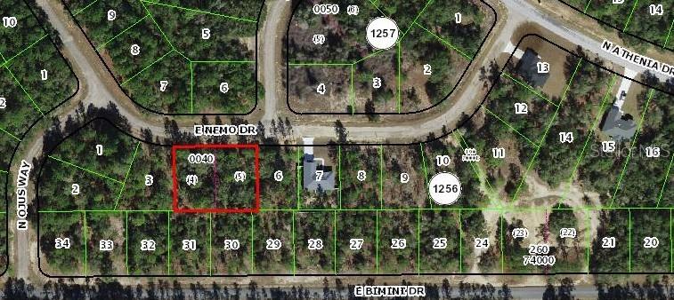 576 E NEMO DR, DUNNELLON, FL, 34434