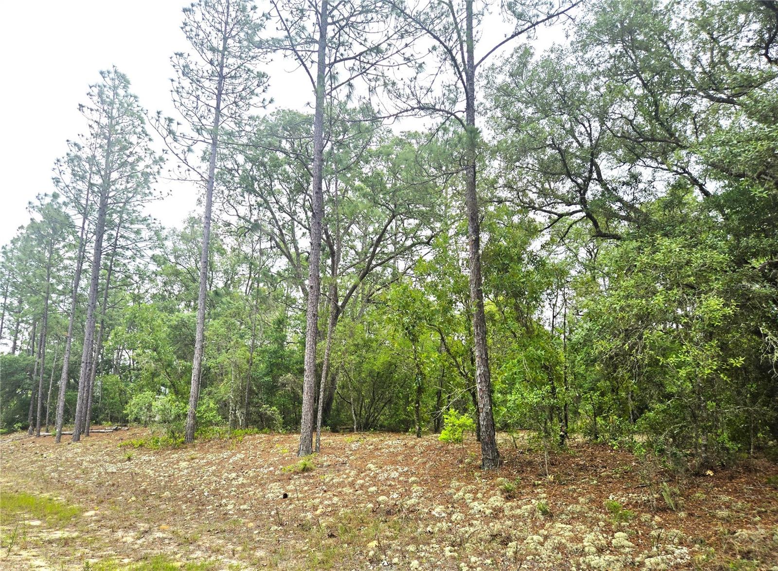 576 E NEMO DR, DUNNELLON, FL, 34434