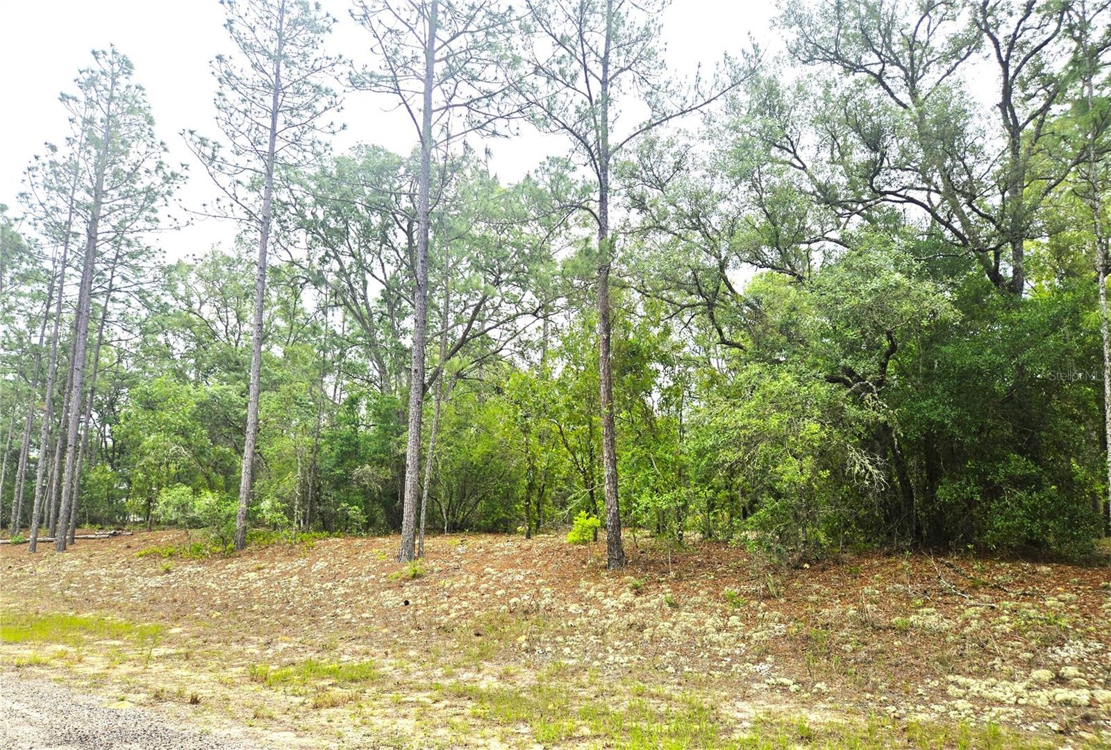 576 E NEMO DR, DUNNELLON, FL, 34434