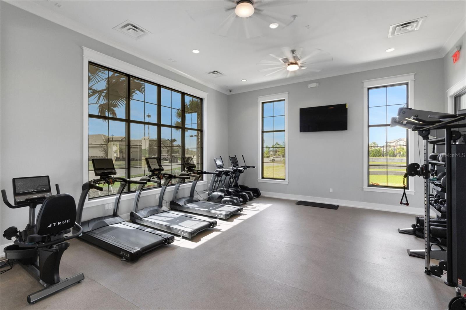 17735 SAVORY MIST CIR, BRADENTON, FL, 34211