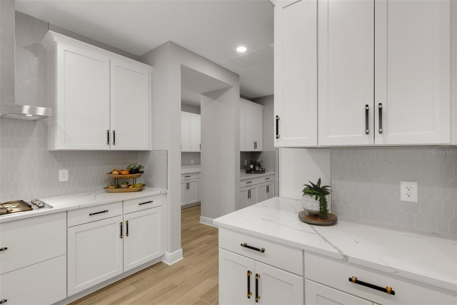 17735 SAVORY MIST CIR, BRADENTON, FL, 34211