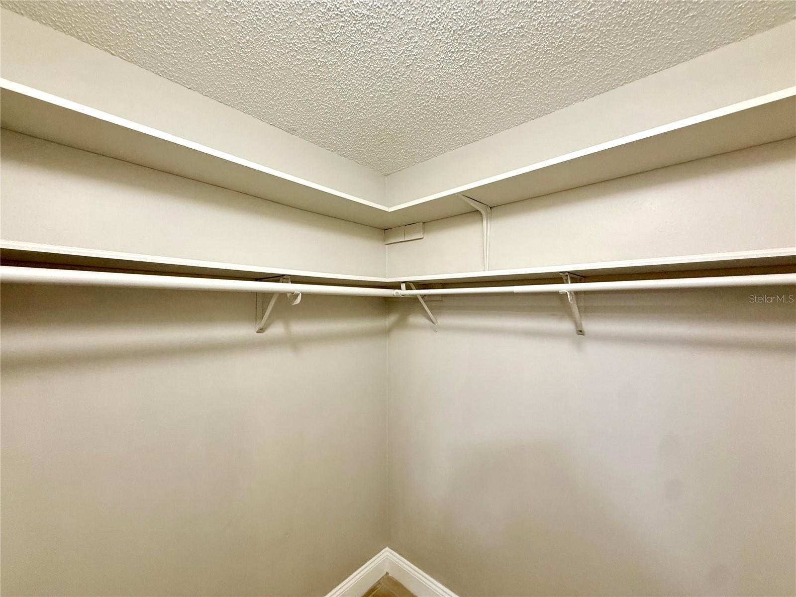 7048 HOLLOWELL DR, TAMPA, FL, 33634