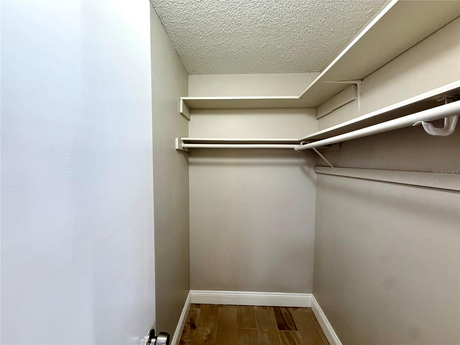 7048 HOLLOWELL DR, TAMPA, FL, 33634