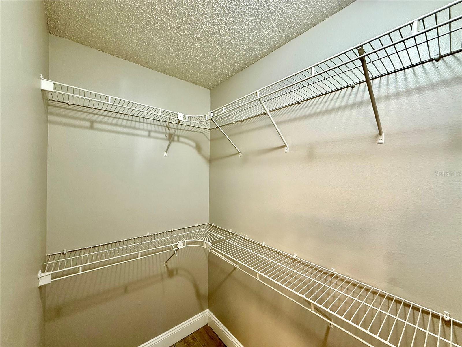 7048 HOLLOWELL DR, TAMPA, FL, 33634