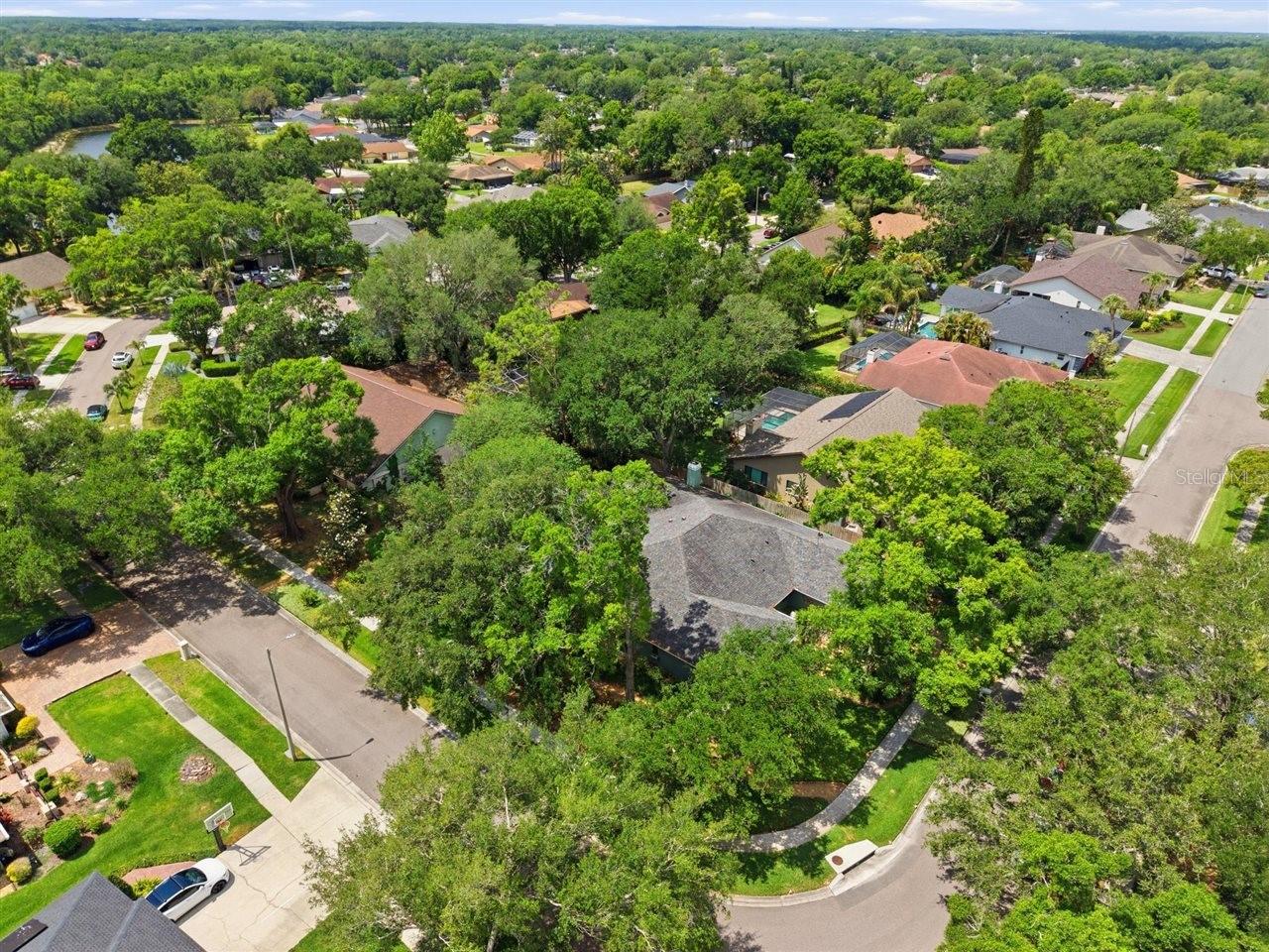 5046 BARROWE DR, TAMPA, FL, 33624
