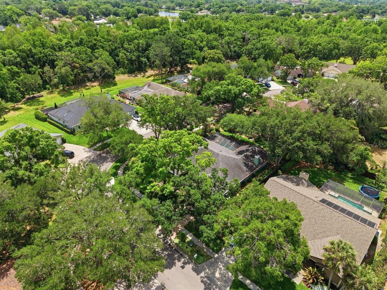 5046 BARROWE DR, TAMPA, FL, 33624