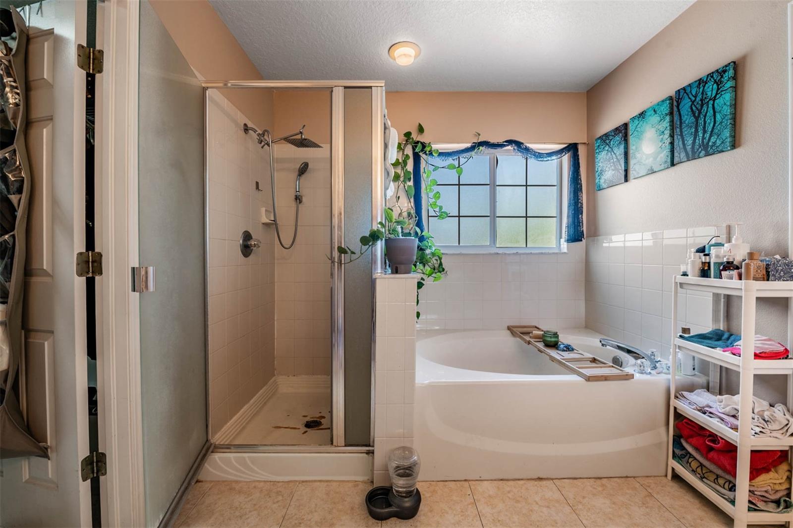 10945 SUBTLE TRAIL DR, RIVERVIEW, FL, 33569