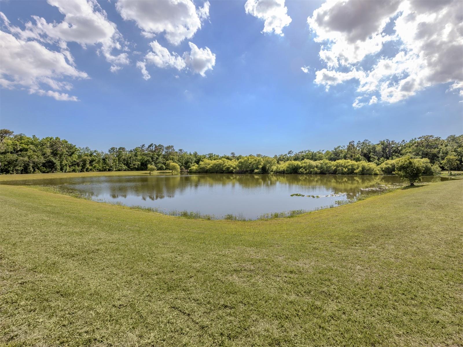 8140 260TH ST E, MYAKKA CITY, FL, 34251