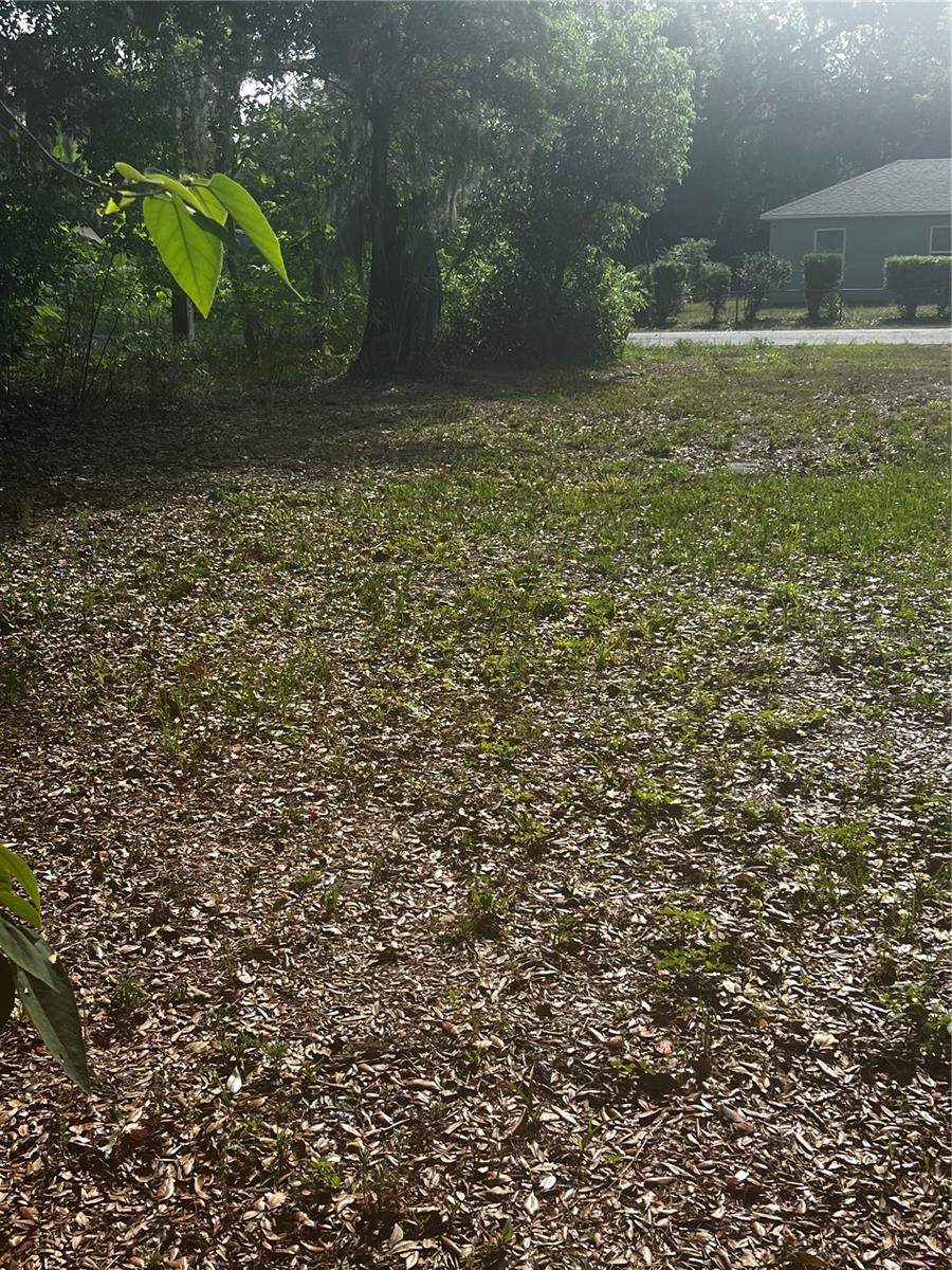 1109 STINSON ST, LEESBURG, FL, 34748