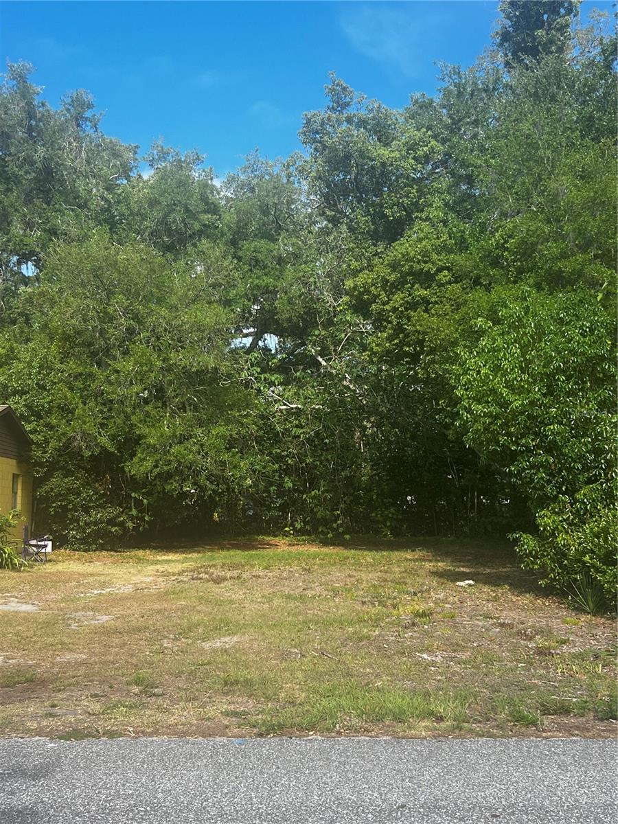 1109 STINSON ST, LEESBURG, FL, 34748