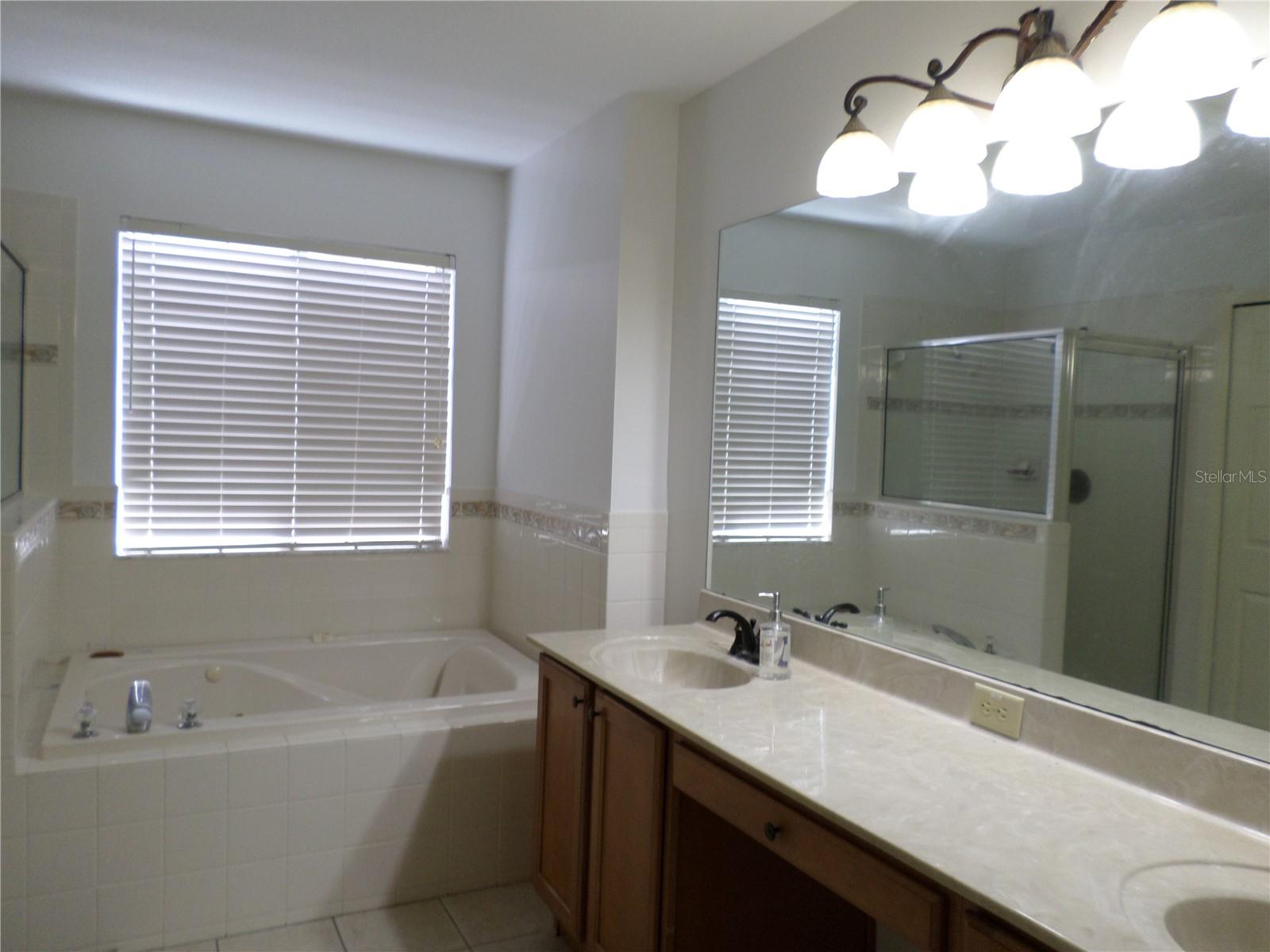 19407 SANDY SPRINGS CIR, LUTZ, FL, 33558