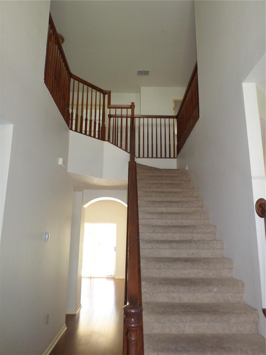 19407 SANDY SPRINGS CIR, LUTZ, FL, 33558