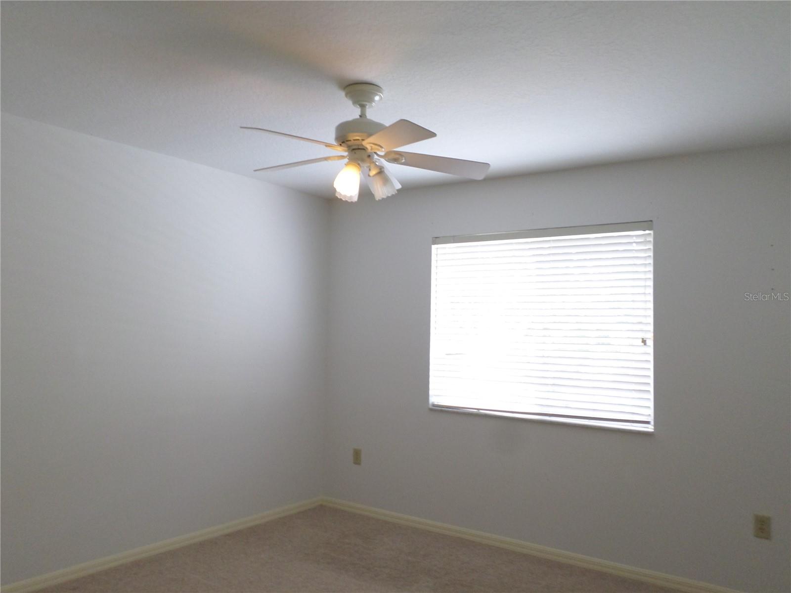 19407 SANDY SPRINGS CIR, LUTZ, FL, 33558