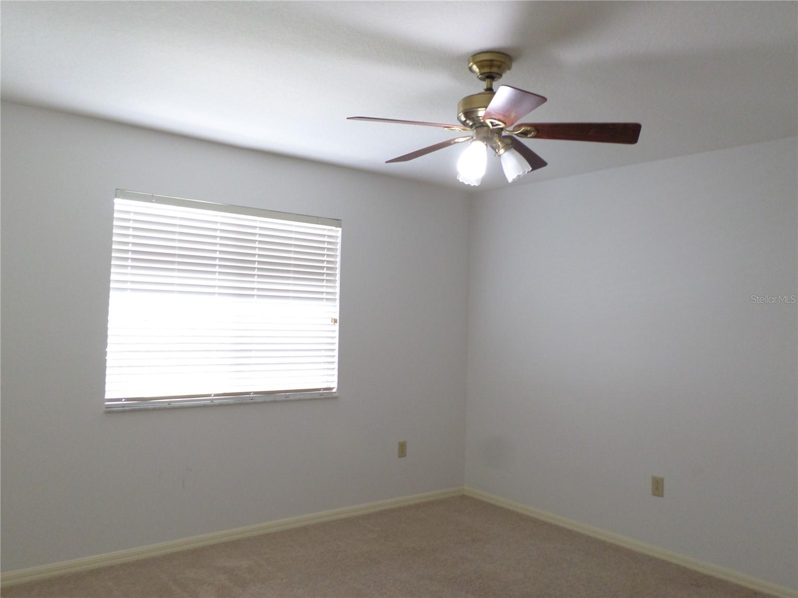 19407 SANDY SPRINGS CIR, LUTZ, FL, 33558