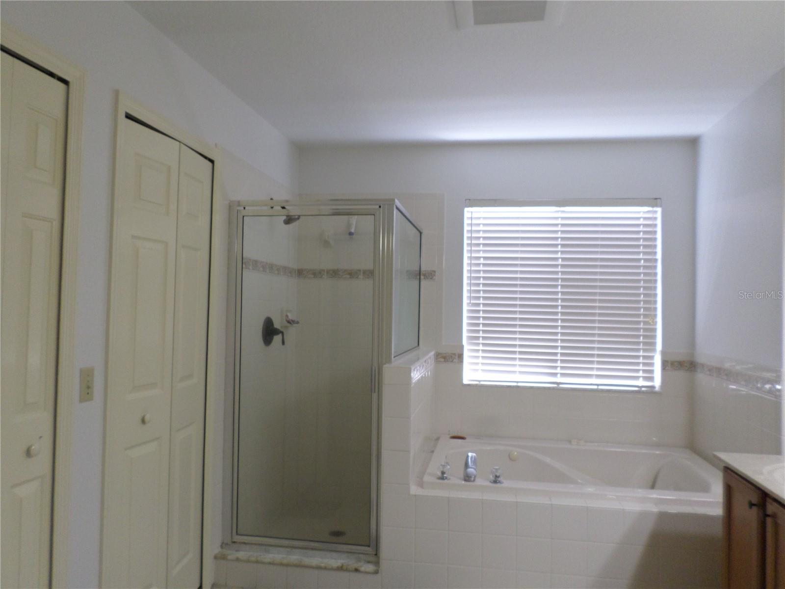 19407 SANDY SPRINGS CIR, LUTZ, FL, 33558