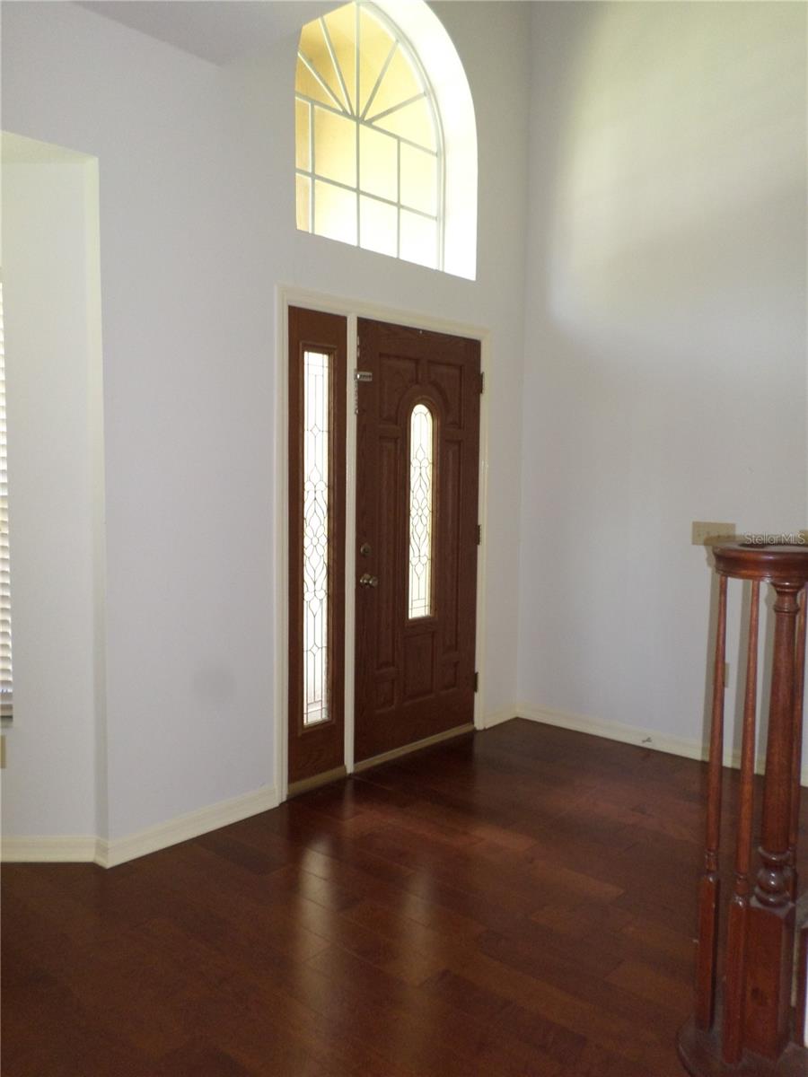 19407 SANDY SPRINGS CIR, LUTZ, FL, 33558
