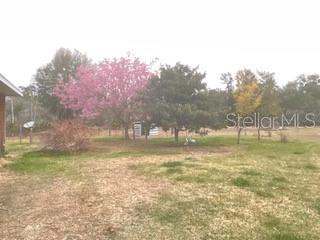 32420 COUNTY ROAD 473, LEESBURG, FL, 34788