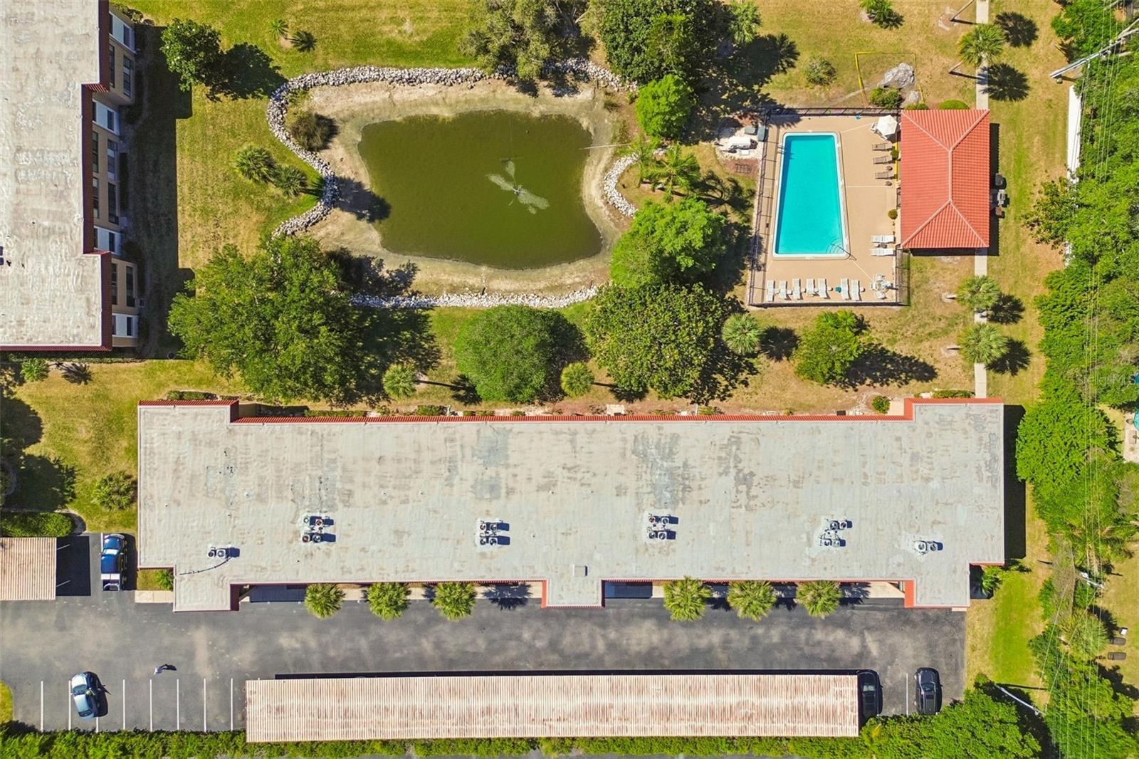 1750 BELLEAIR FOREST DR #A5, BELLEAIR, FL, 33756