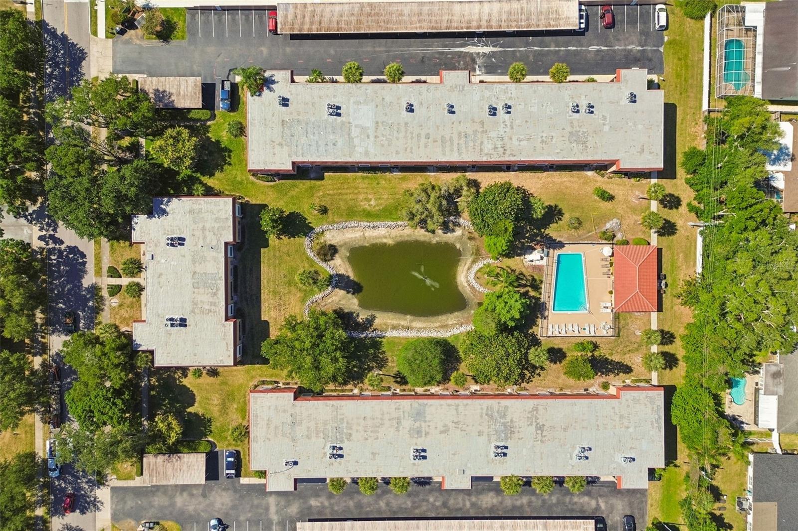 1750 BELLEAIR FOREST DR #A5, BELLEAIR, FL, 33756