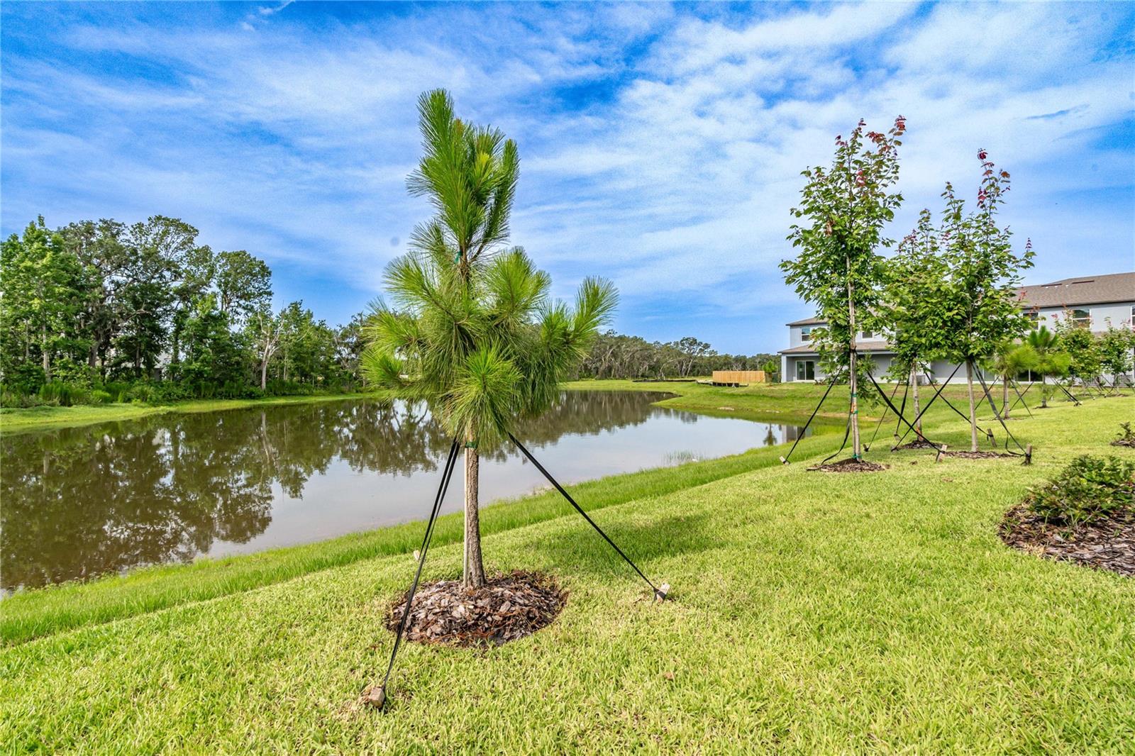 5095 CAPRI HARBOR DR, WIMAUMA, FL, 33598