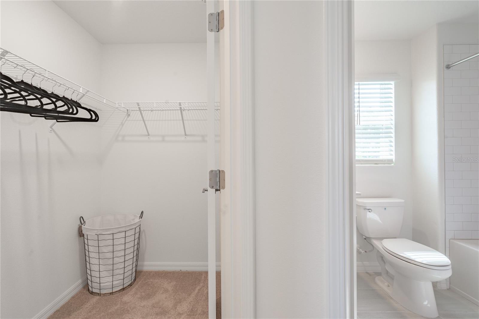 5095 CAPRI HARBOR DR, WIMAUMA, FL, 33598