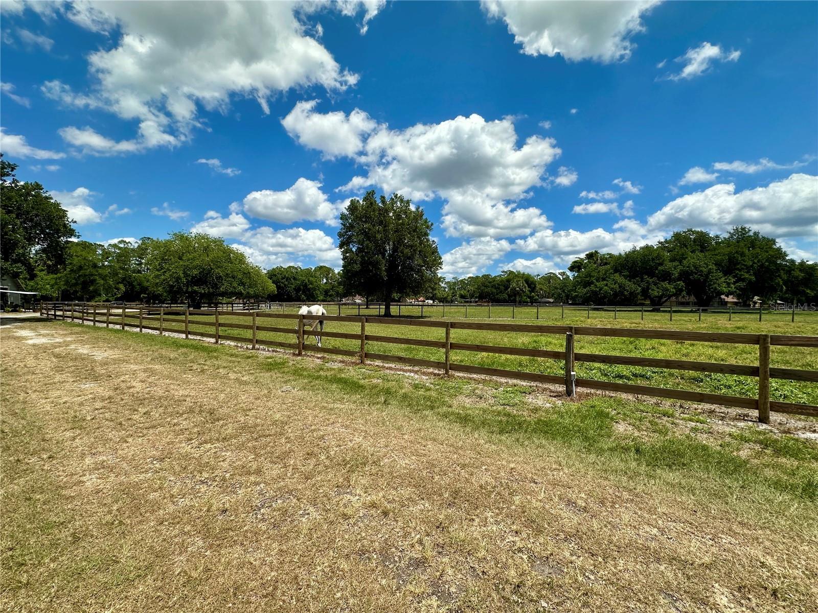 1540 STONE TRL, DELTONA, FL, 32725