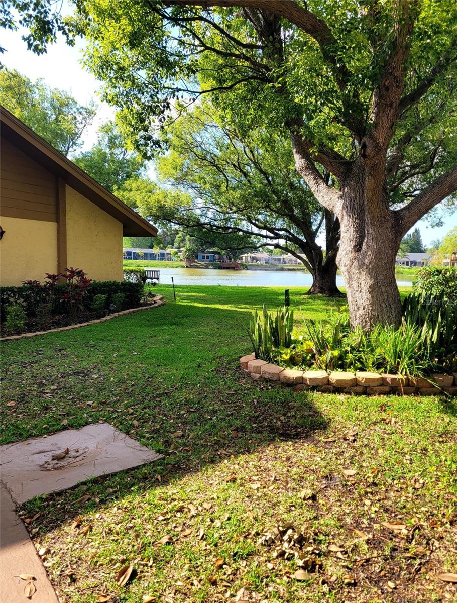 4423 PELORUS DR #B, NEW PORT RICHEY, FL, 34652