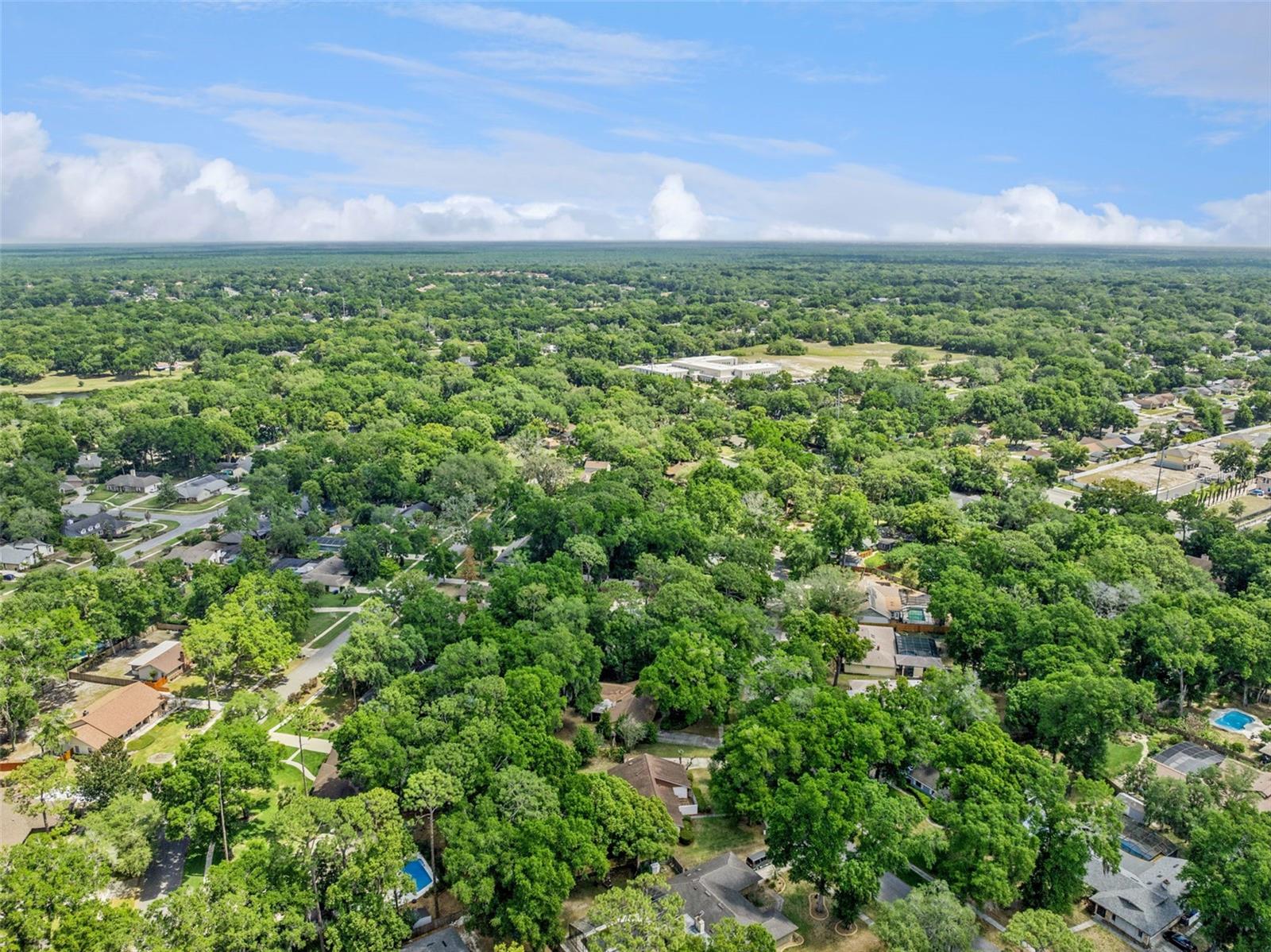 424 KNOLL TREE LN, APOPKA, FL, 32712