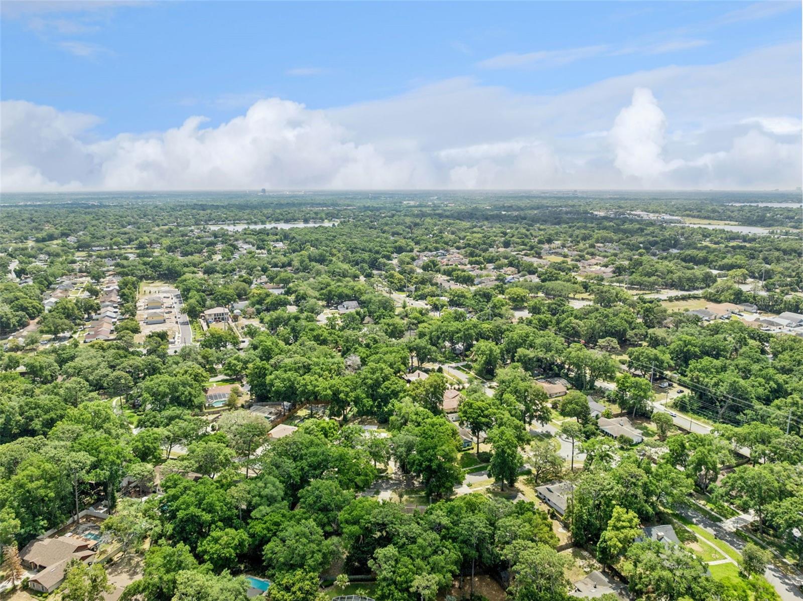 424 KNOLL TREE LN, APOPKA, FL, 32712