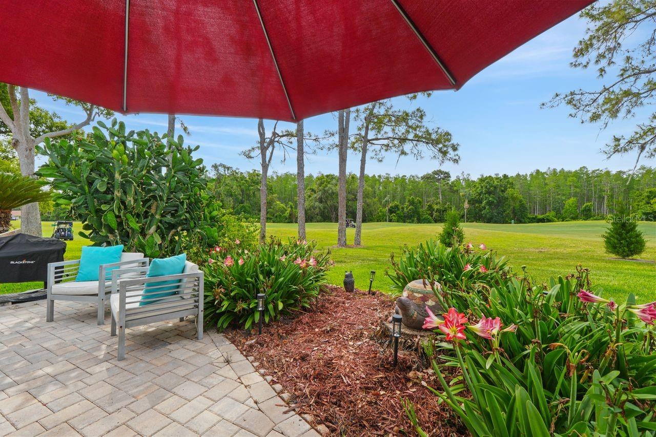 9726 SWEEPING VIEW DR, NEW PORT RICHEY, FL, 34655