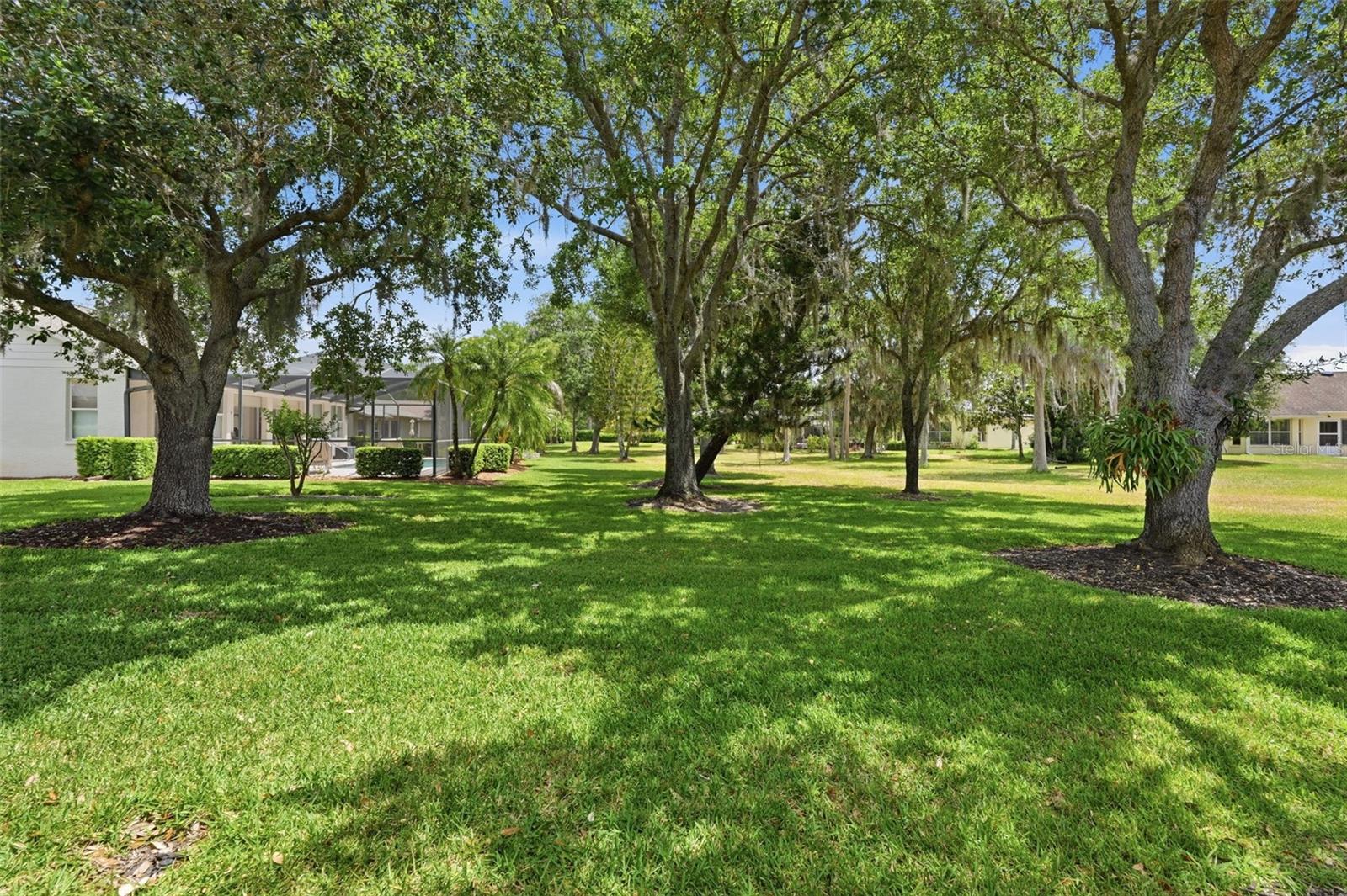 1444 CANBERLEY CT, TRINITY, FL, 34655