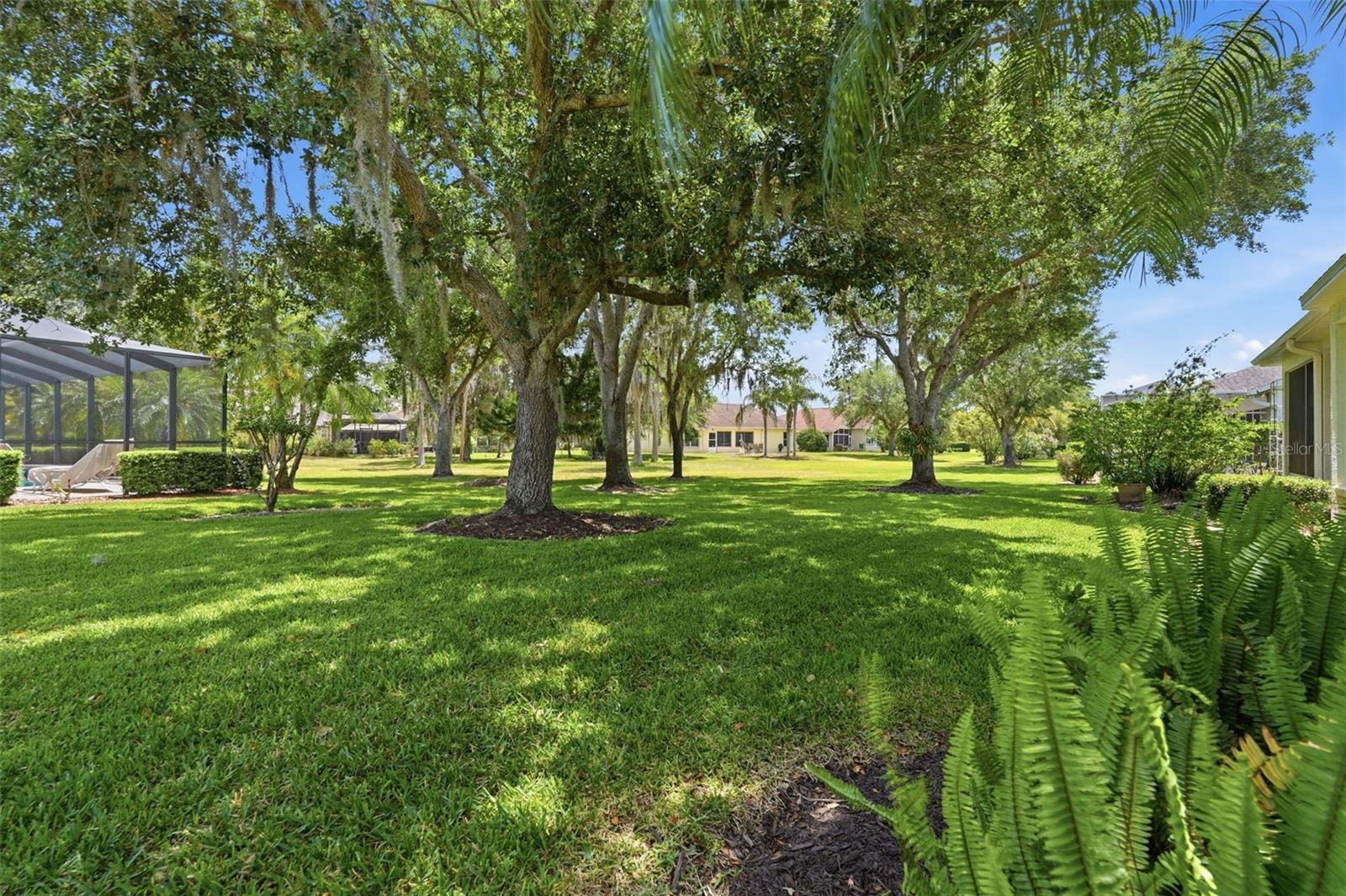 1444 CANBERLEY CT, TRINITY, FL, 34655