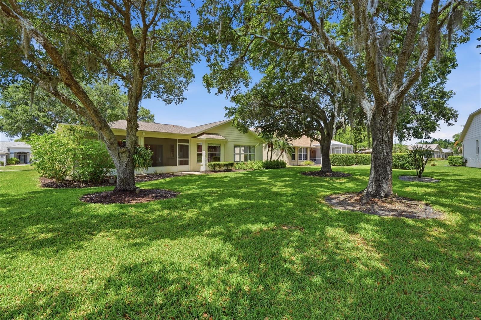 1444 CANBERLEY CT, TRINITY, FL, 34655