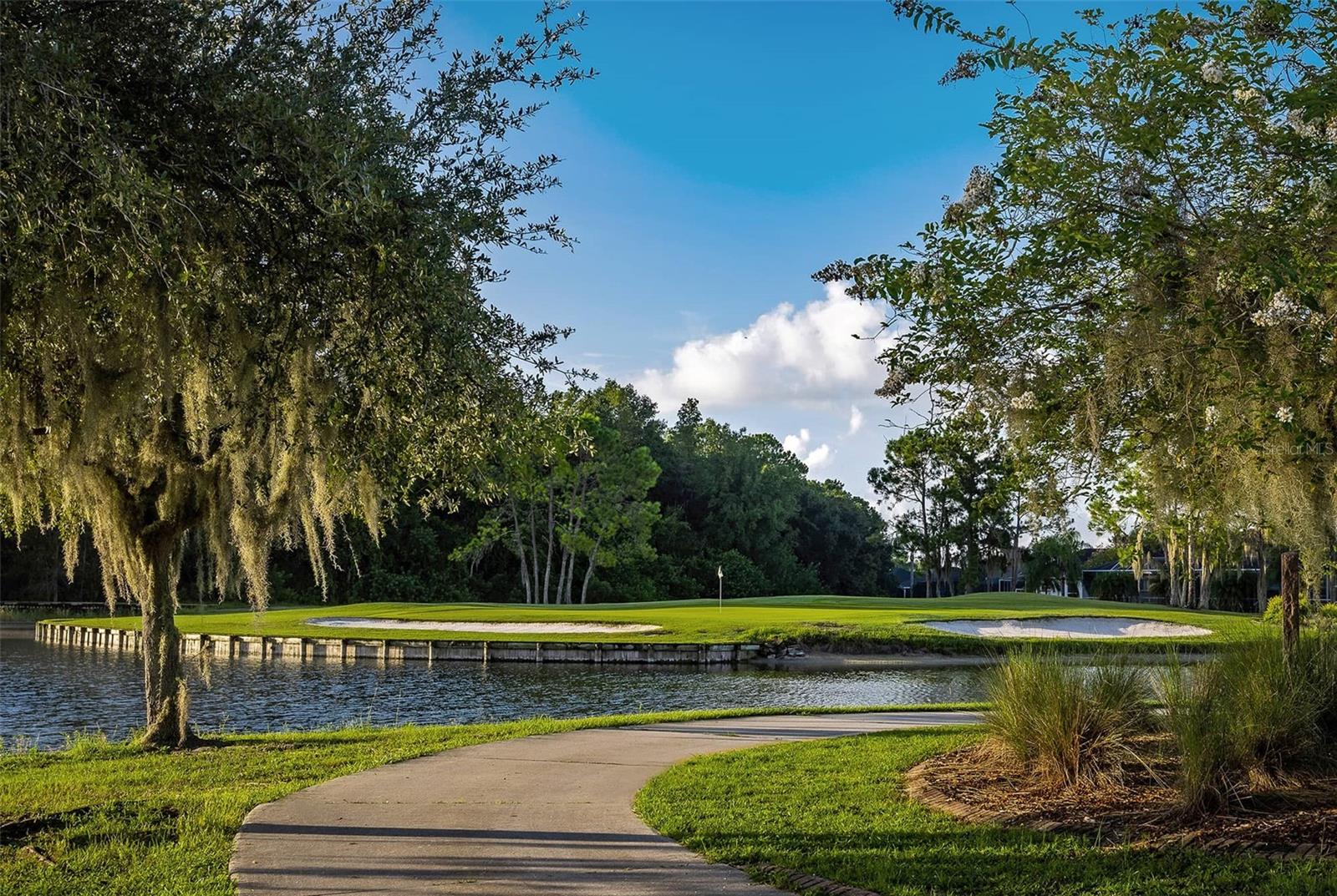 1444 CANBERLEY CT, TRINITY, FL, 34655