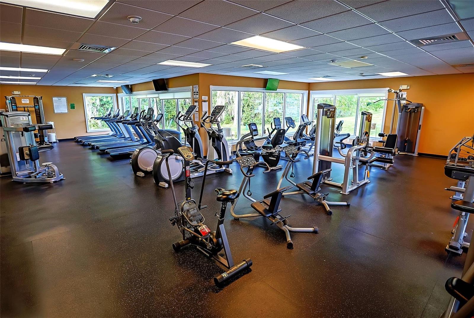 1444 CANBERLEY CT, TRINITY, FL, 34655