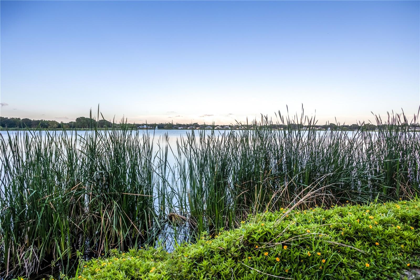 6905 FREEPORT RD, RIVERVIEW, FL, 33578