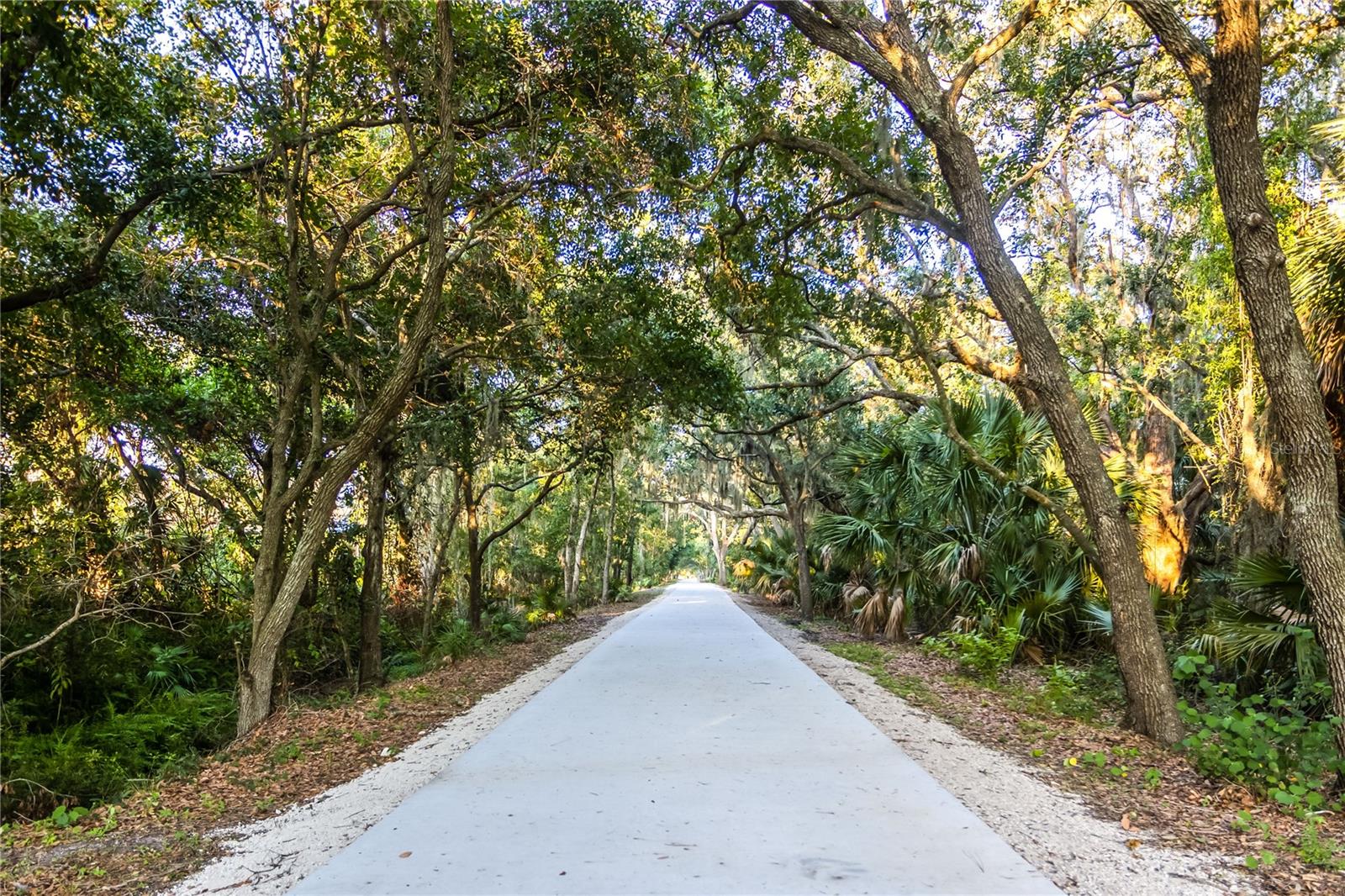 6905 FREEPORT RD, RIVERVIEW, FL, 33578