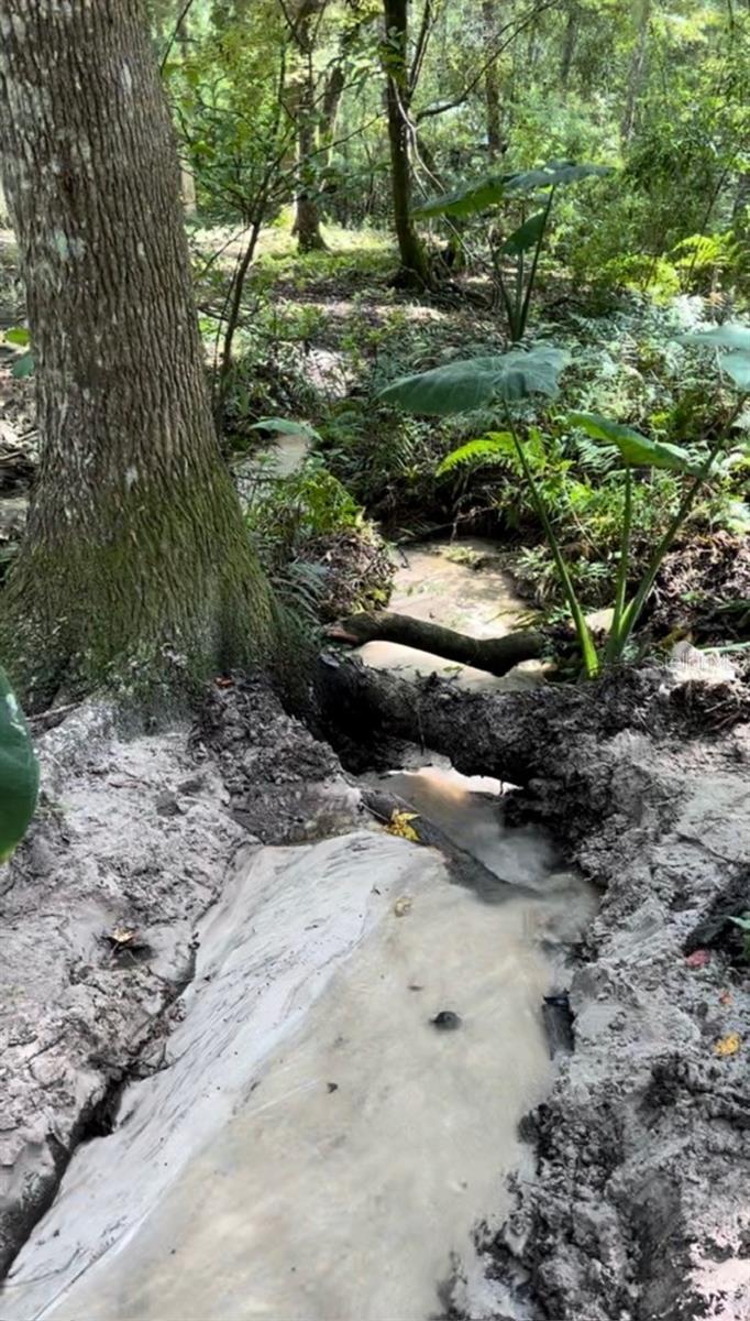 33234 CHIPCO RANCH RD, DADE CITY, FL, 33523