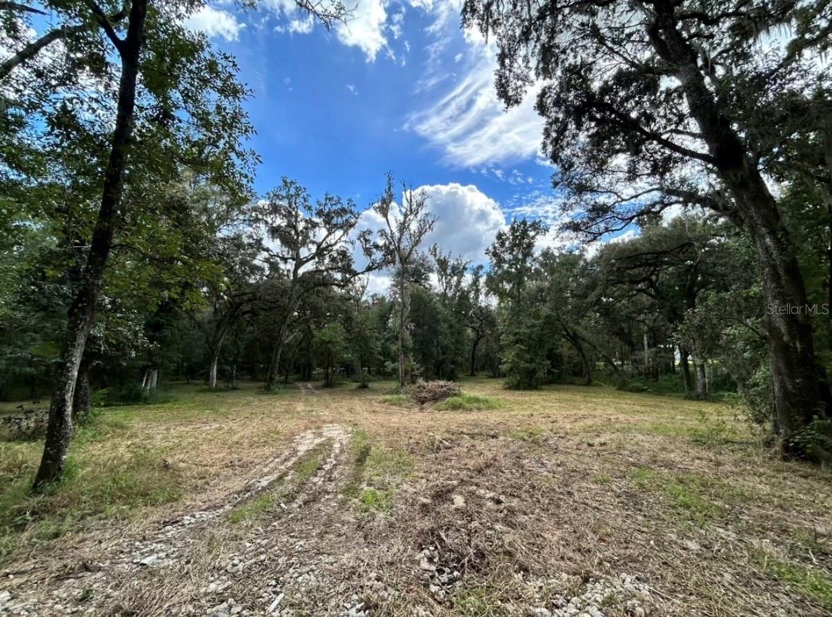 33234 CHIPCO RANCH RD, DADE CITY, FL, 33523